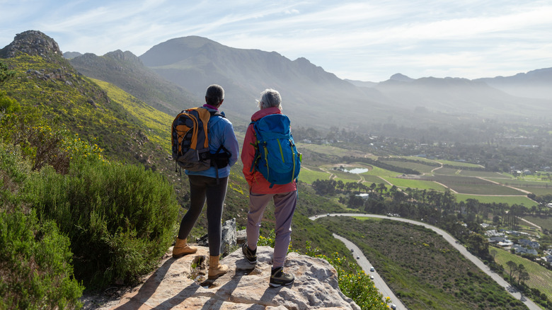 Two hikers on top of a mountain with their backs to the camera.