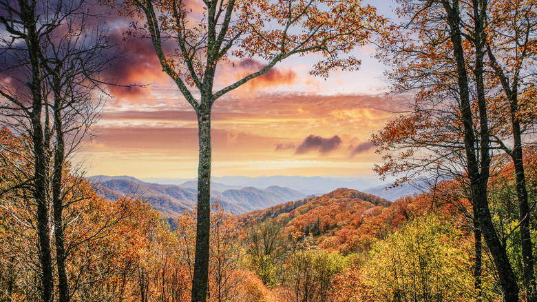 Great Smoky Mountain scenery