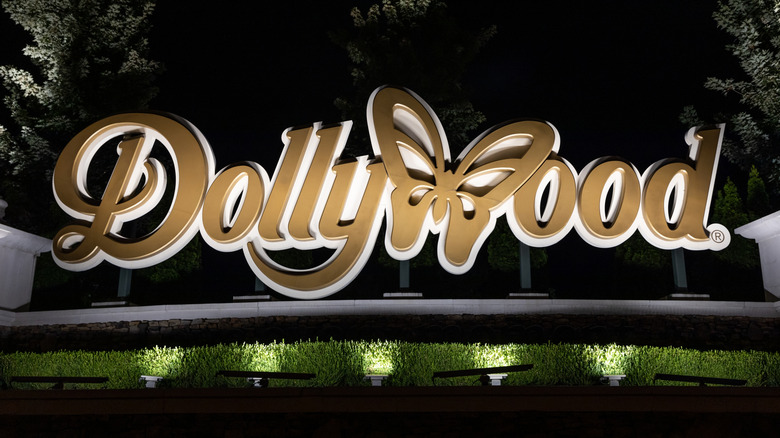 Dollywood amusement park butterfly sign night