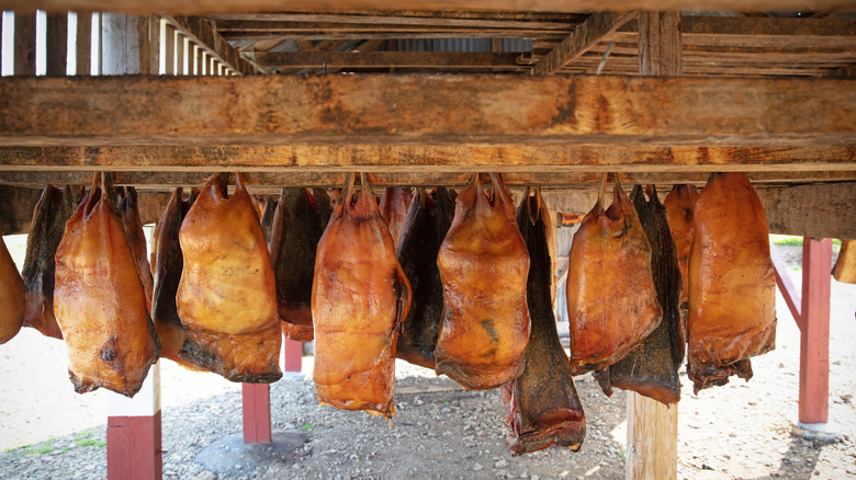 Fermented shark hanging in Iceland