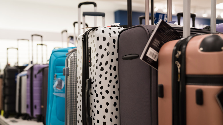 store luggage display with fashion mannequins