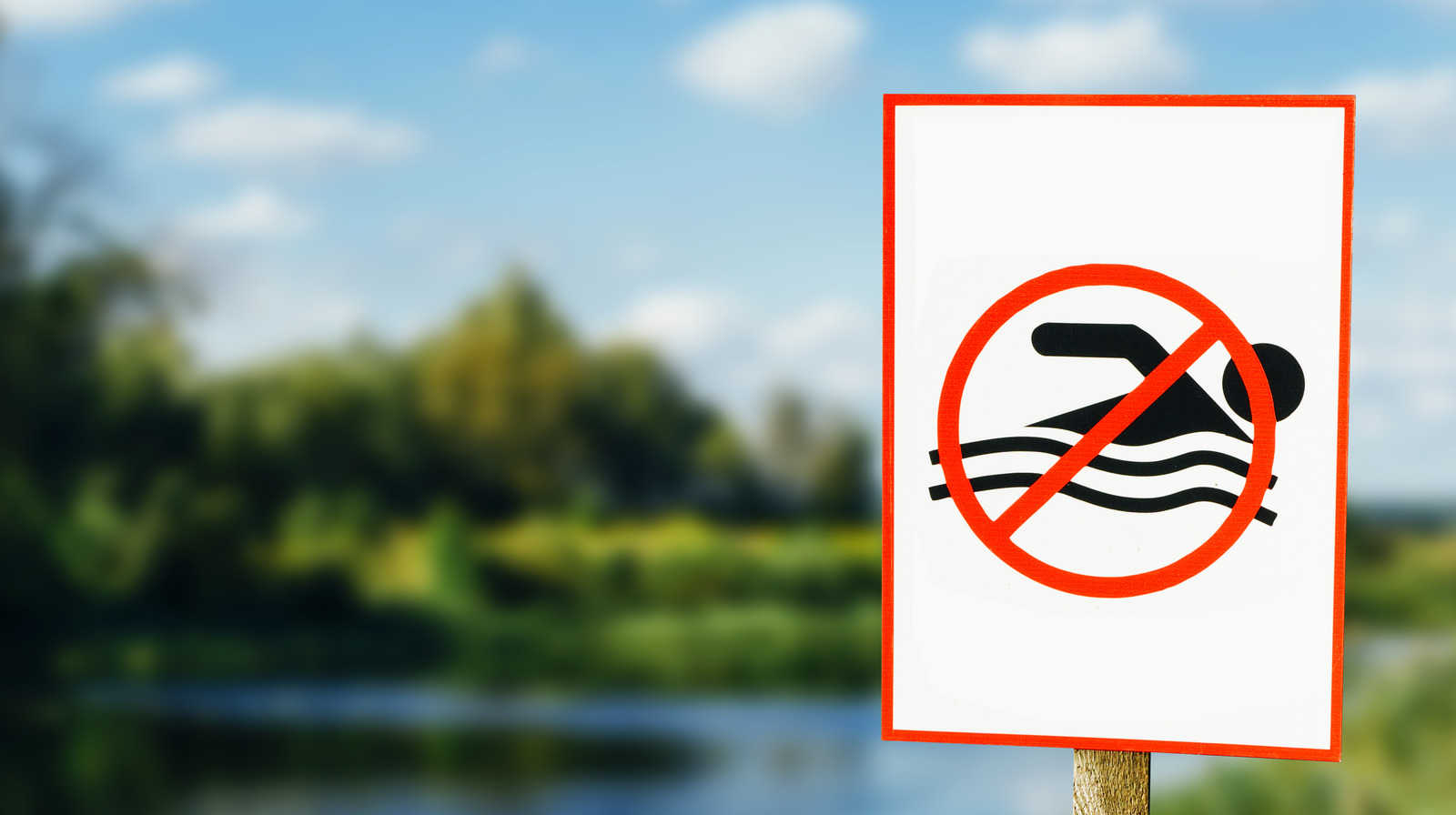 Don't You Dare 10 Of The World's Most Dangerous Places To Swim