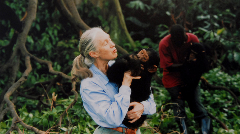 Doctor Jane Goodall