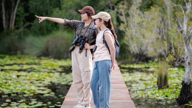 tourists observing nature from the trail