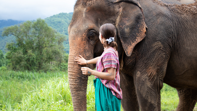 A woman petting an elephant