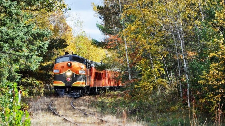 Orange train moving through woods