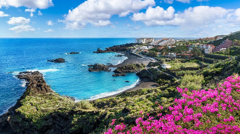 the Canary Islands landscape