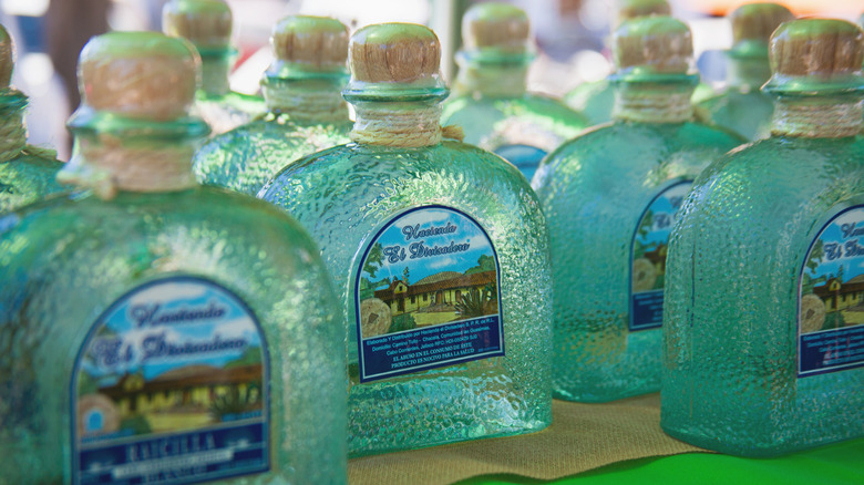 Bottles of Raicilla from Hacienda el Divisadero