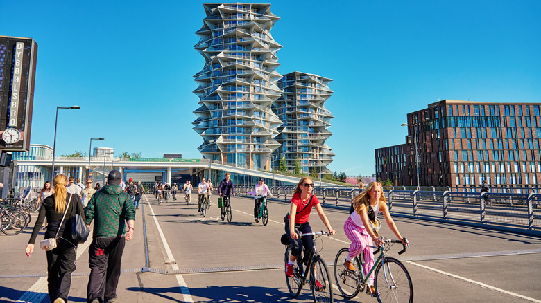 People riding bikes in Copenhagen