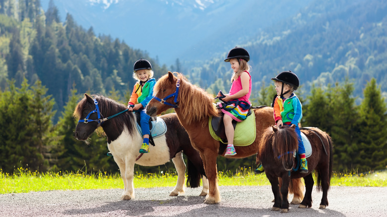 Kids on ponies in mountains.
