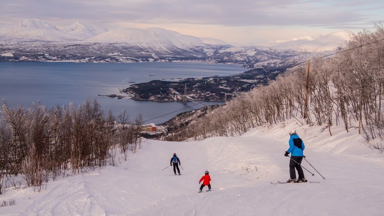 Ski run in Narvikfjellet Ski Resort in Narvik overlooking the fjord