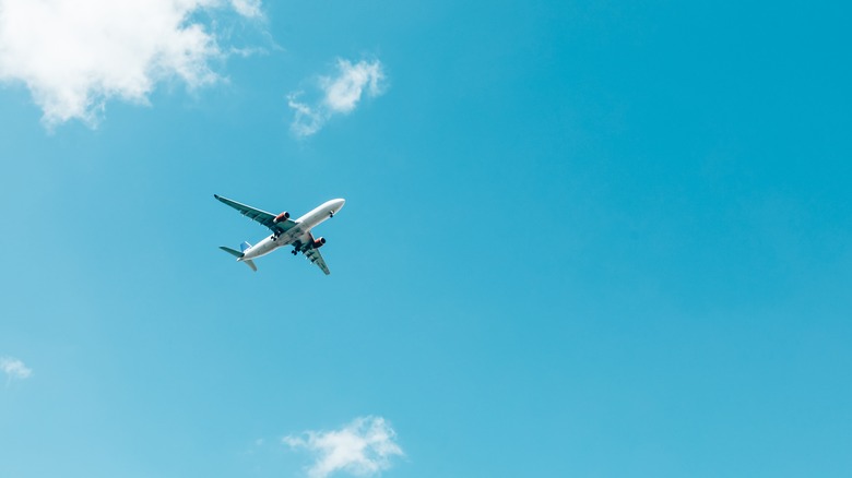 Airplane in the sky