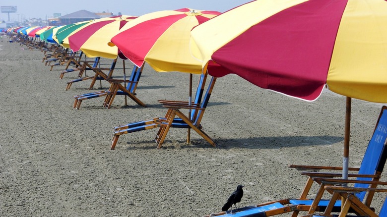 Colorful row of beach chairs