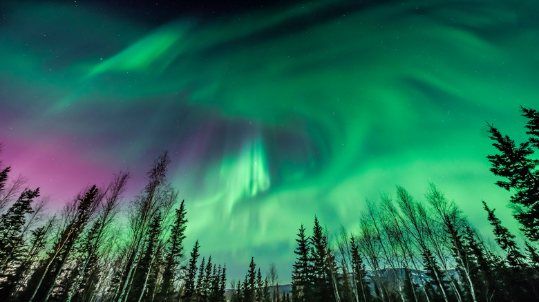 Northern lights seen near Fairbanks, Alaska