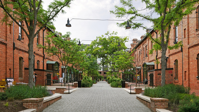 Rows of brick buildings and a sprinkling of trees line both sides of a stone walkway