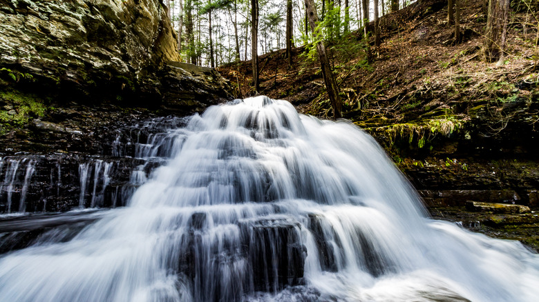 Brook Fall waterfall in Pennsylvania