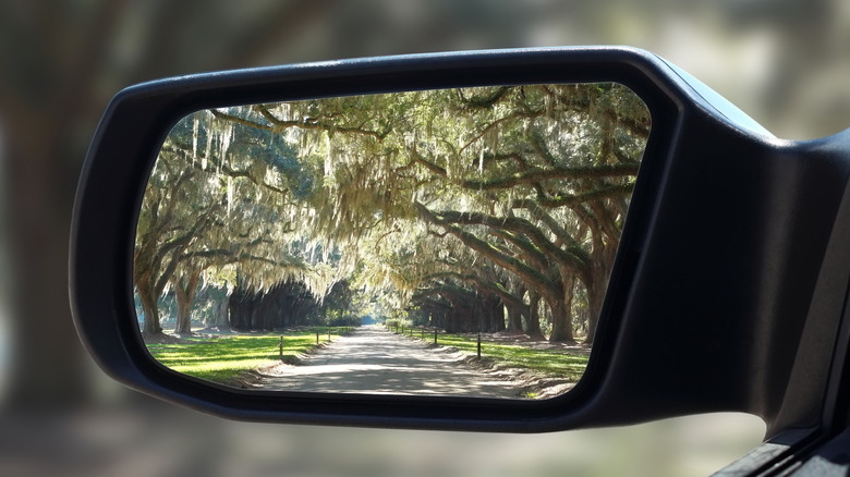 Rearview mirror live oaks Charleston