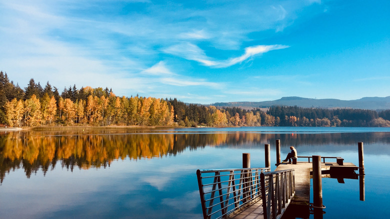 Bellingham fall foliage surrounding lake