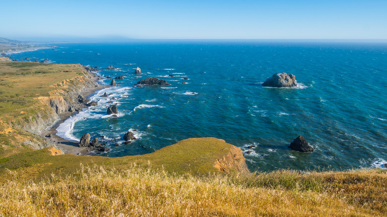 Sonoma Coast State Park, California