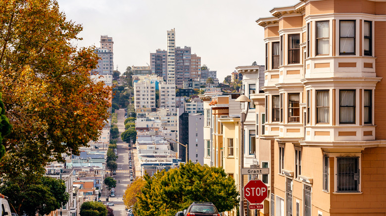 San Francisco in fall