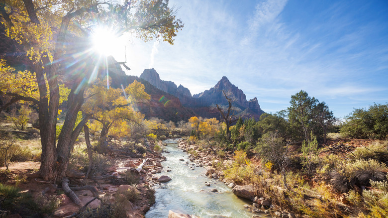 Yellow fall leaves and beautiful view at Zion