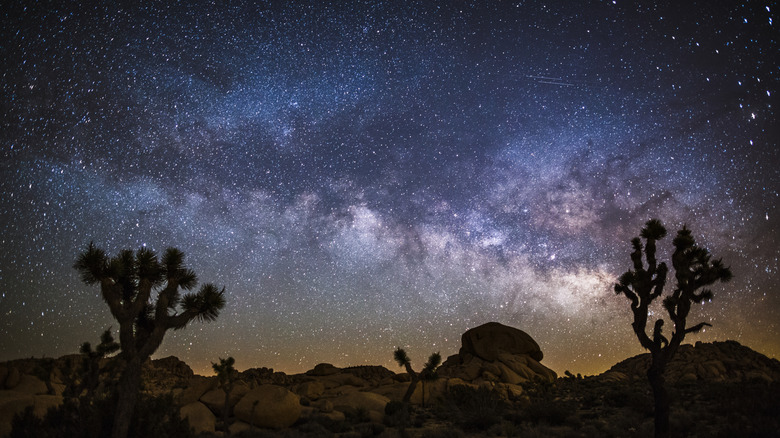 The Milky Way over Joshua Tree National Park at night.