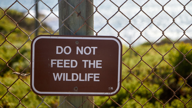 A sign reading "Do not feed the wildlife."
