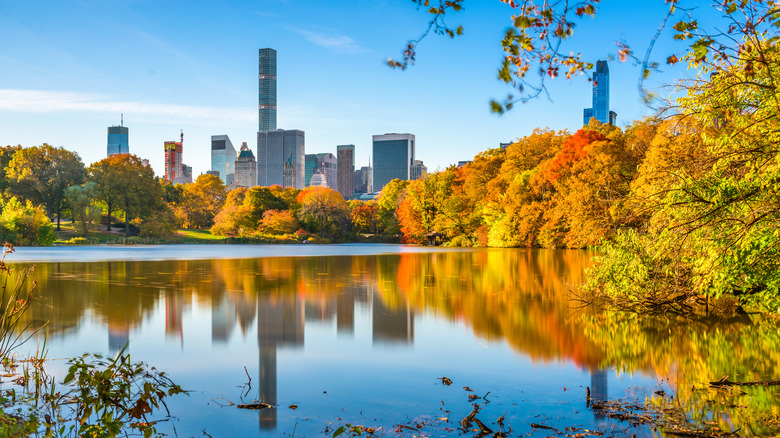 Central Park during the fall
