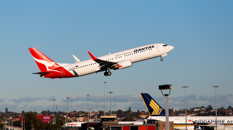 Qantas plane on takeoff