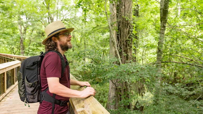 A hiker stops to enjoy the surroundings on a wooden platform trail in Florida