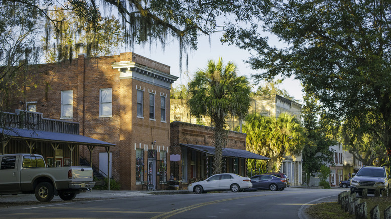 historic downtown area with palm trees and old buildings
