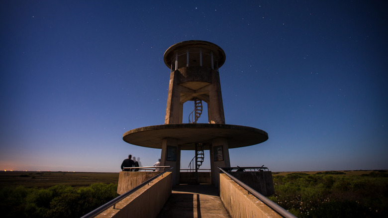 Stars over the Shark Valley Observation Tower