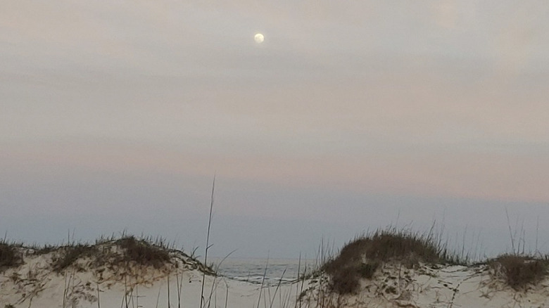The moon emerges over St. George Island State Park