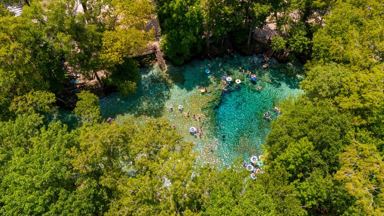 Ginnie Park