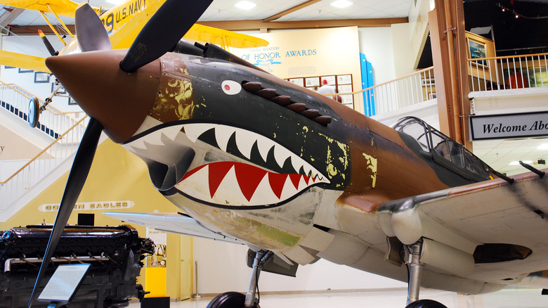 Flying Tiger plane shark teeth display