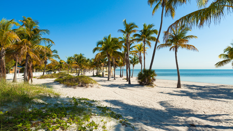 Crandon Park Beach, Florida