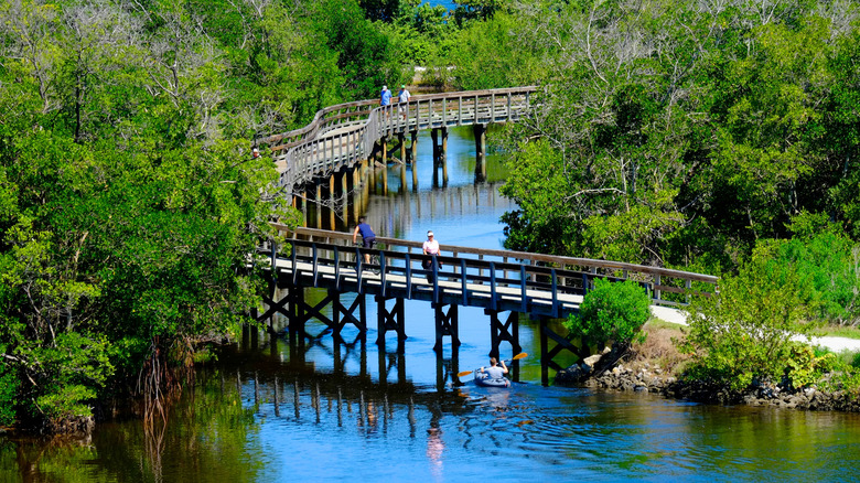 People walking on a bridge at Robinson Preserve, Bradenton, FL