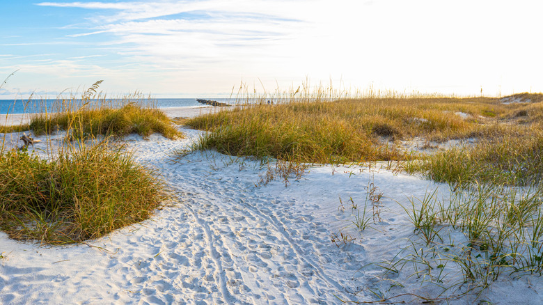 Sand dunes at a beach on Amelia Island, Florida