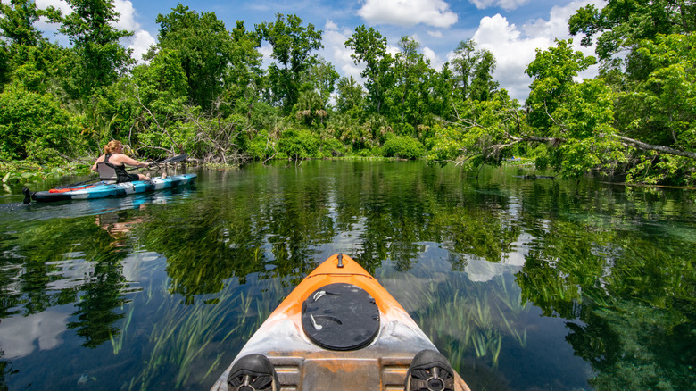 Kayaking in the Ocala National Forest