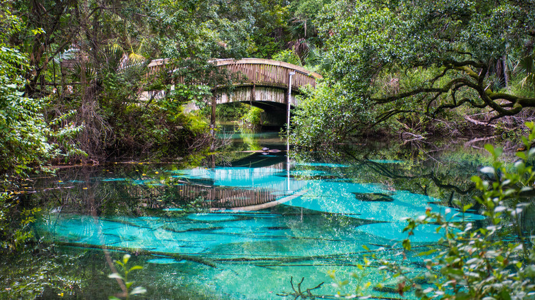 Juniper Springs at Ocala National Forest, Florida