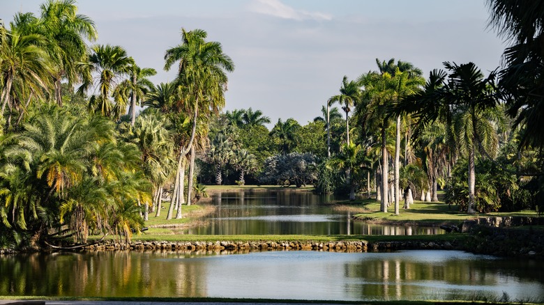 Fairchild Tropical Botanic Garden in Florida