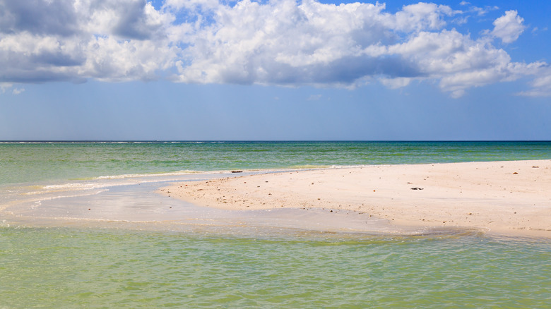 White sand beach surrounded by clear waters