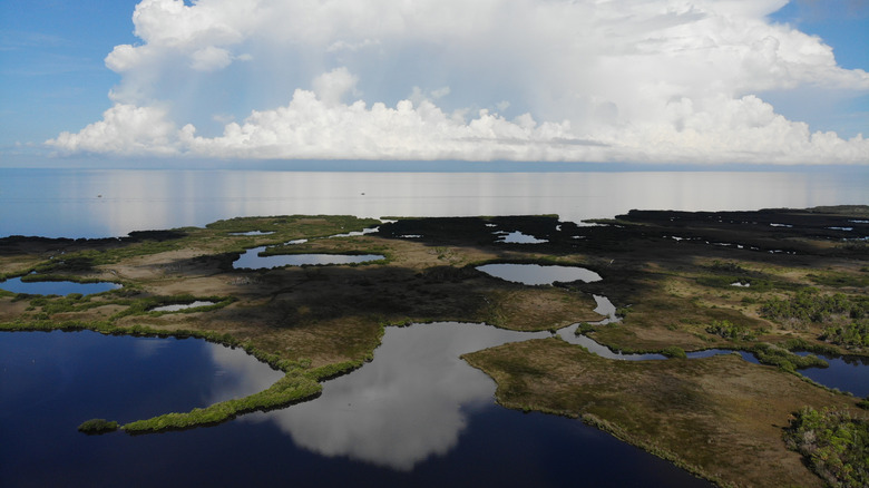 Aerial photo of Werner Boyce Salt Springs State Park located in Port Richey, Fl