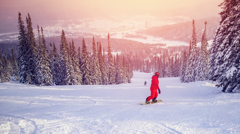 snowboarders in Colorado