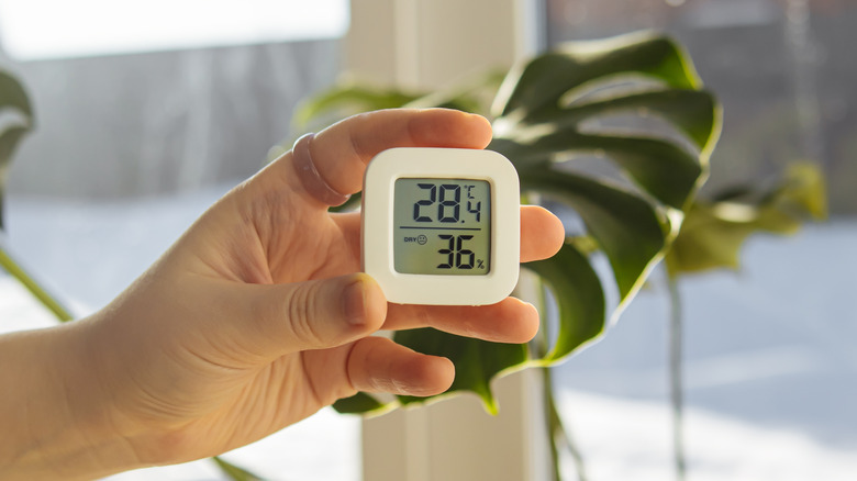 hand holding a humidity meter