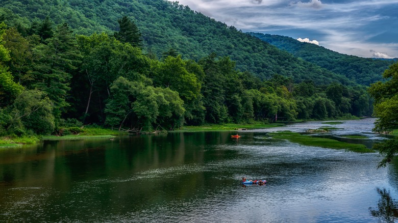 The Greenbrier River in Seneca State Forest, West Virginia