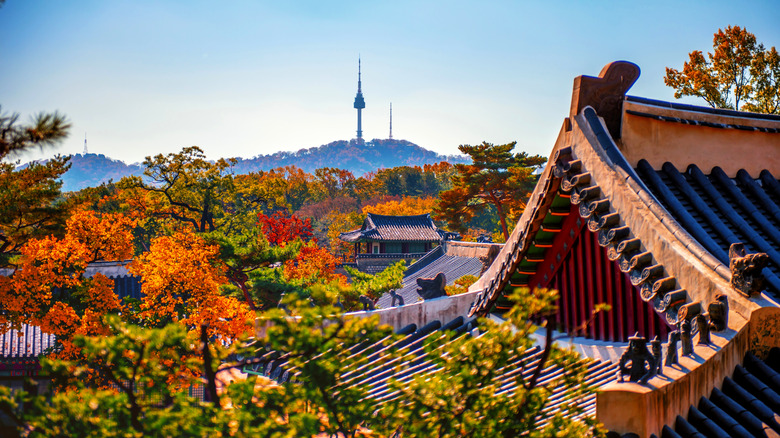 The gold and red colored trees in fall among traditional roofs in South Korea.