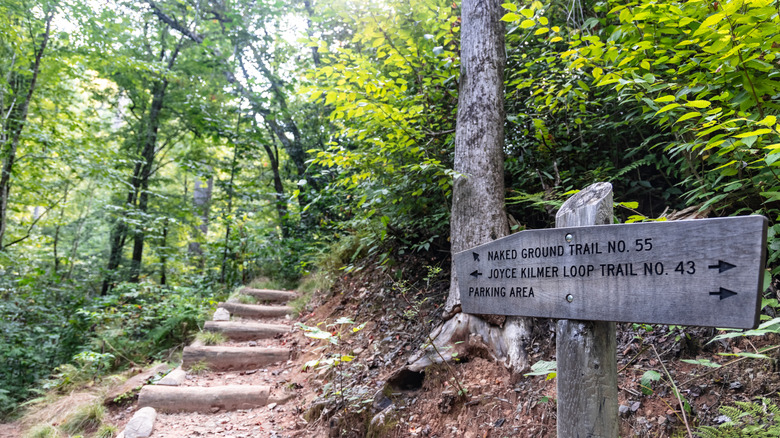 A trail sign surrounded by trees at Joyce Kilmer Memorial Forest
