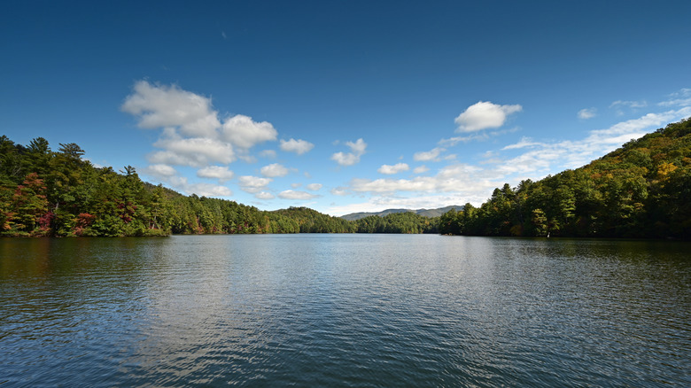 Reflections on Lake Santeetlah surrounded by forest