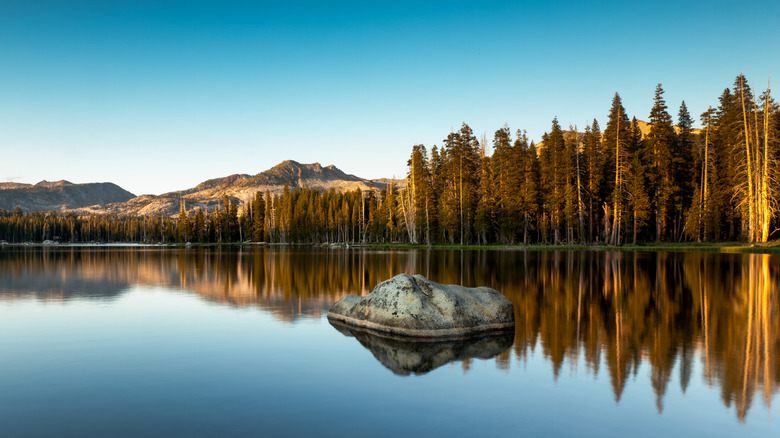 pine trees, mountains, and Wrights Lake in California at sunset